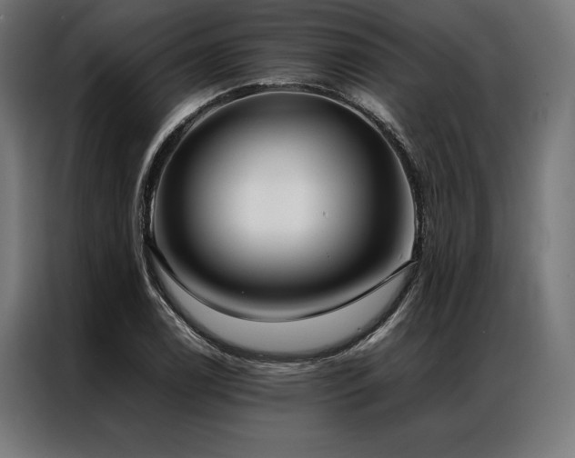 X0000087021122200704161556