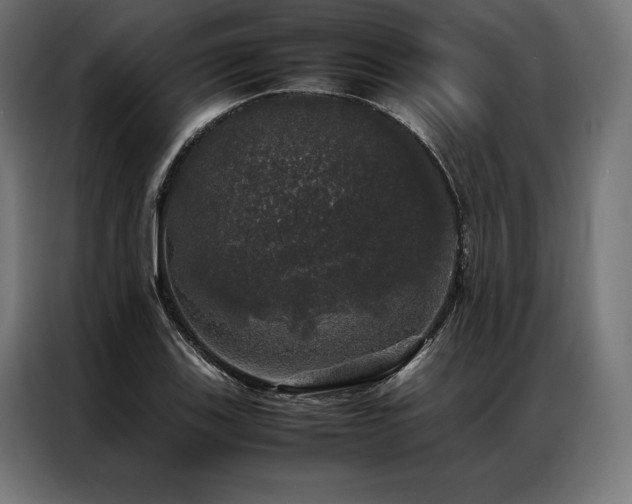 X0000087021123200704161556