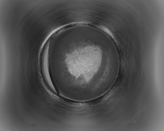 X0000087021124200704161556