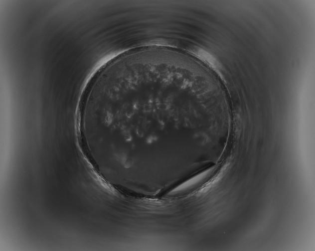 X0000087021125200704161556