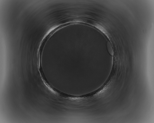 X0000087021127200704161556
