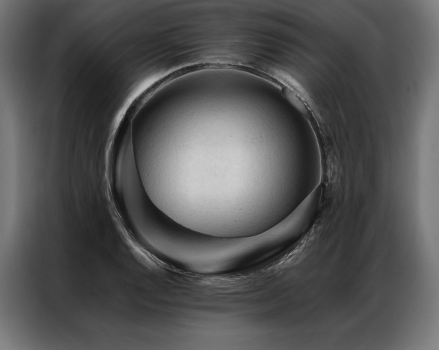 X0000087021128200704161556