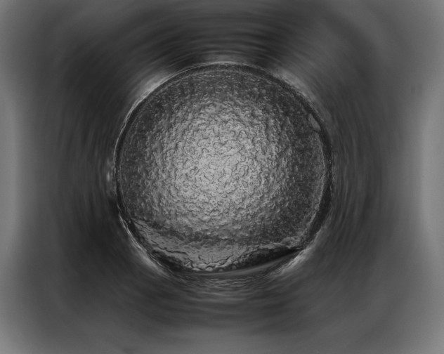 X0000087021129200704161556