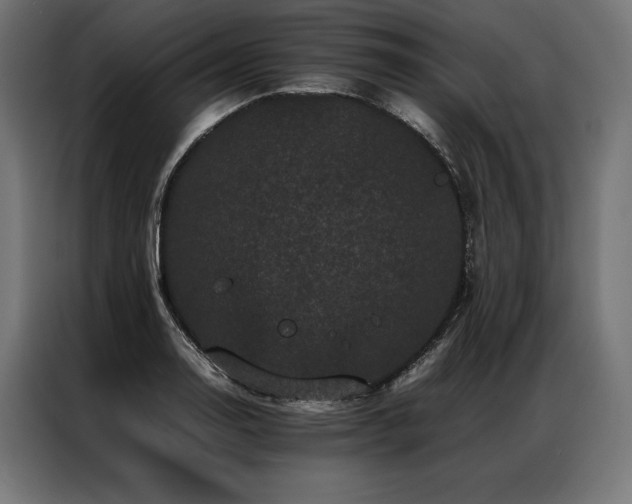 X0000087021130200704161556