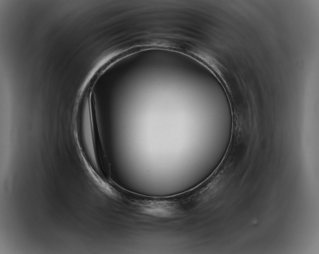 X0000087021131200704161556