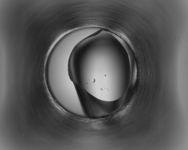 X0000087021132200704161556