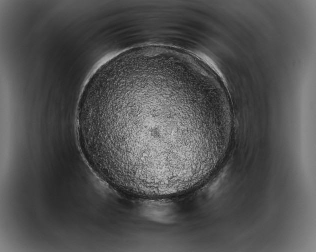 X0000087021133200704161556