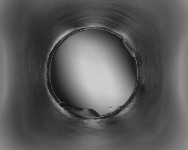 X0000087021134200704161556