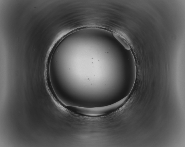 X0000087021136200704161556