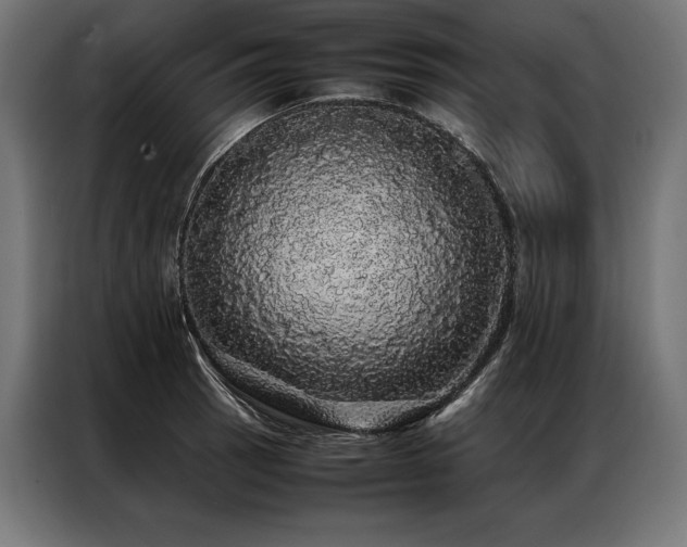 X0000087021137200704161556