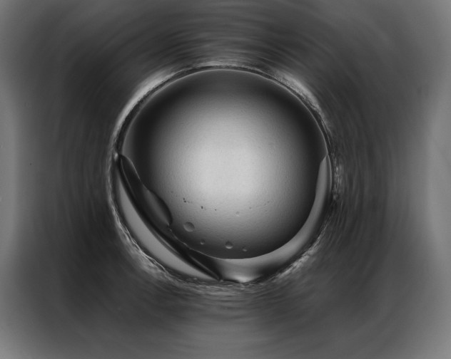 X0000087021138200704161556