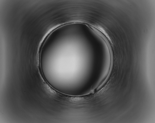 X0000087021140200704161556