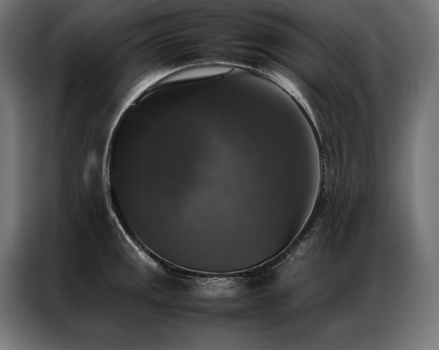 X0000087021141200704161556
