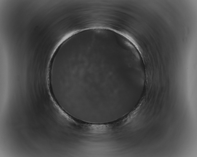 X0000087021142200704161556