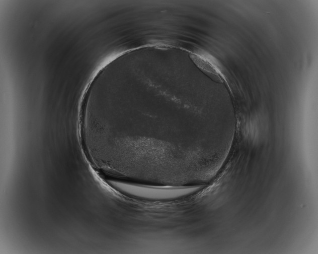 X0000087021143200704161556