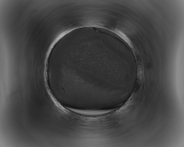 X0000087021144200704161556