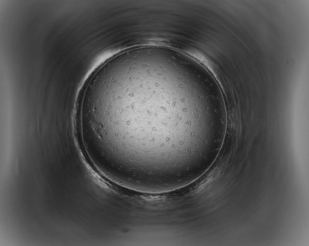 X0000087021147200704161556