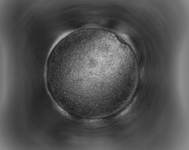 X0000087021149200704161556