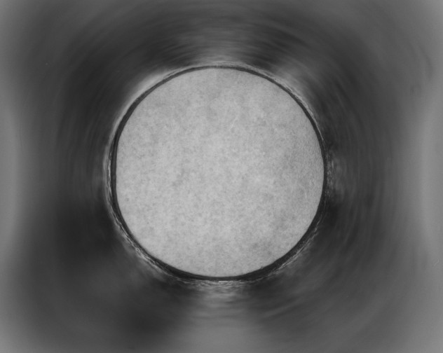 X0000087021150200704161556