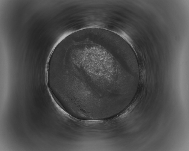 X0000087021151200704161556