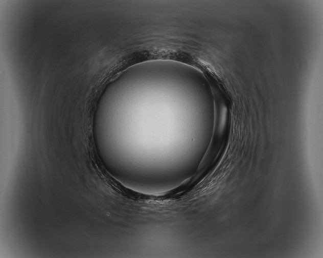X0000087021153200704161556