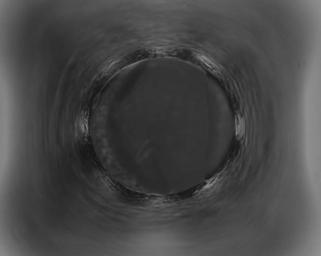 X0000087021155200704161556