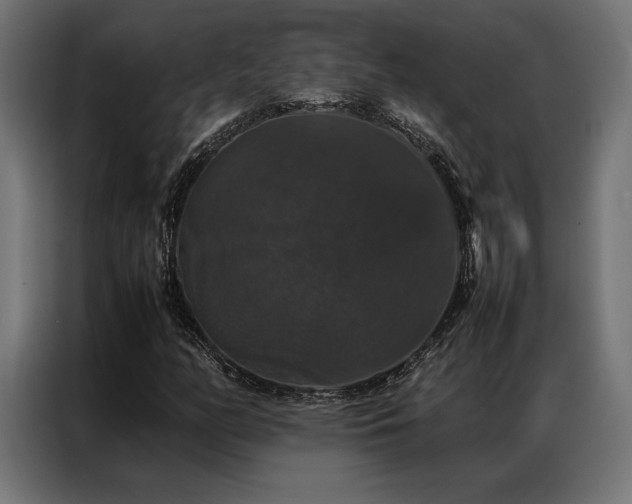X0000087021158200704161556