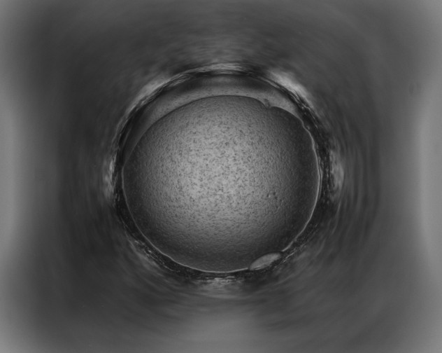 X0000087021160200704161556