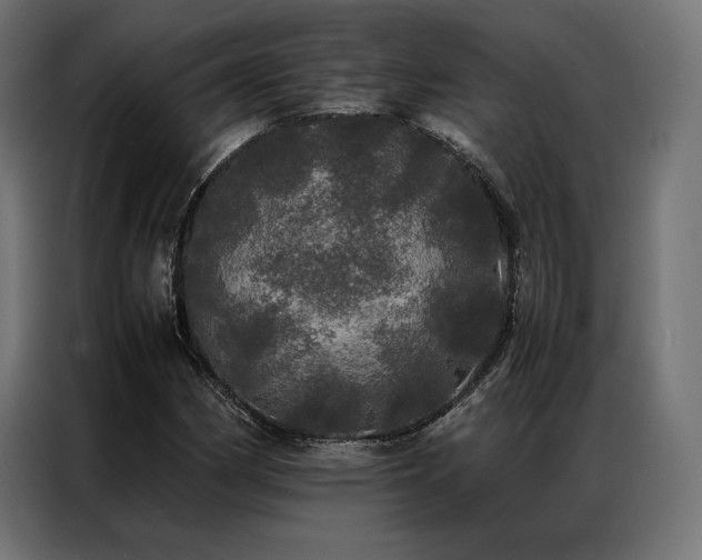 X0000087021162200704161556