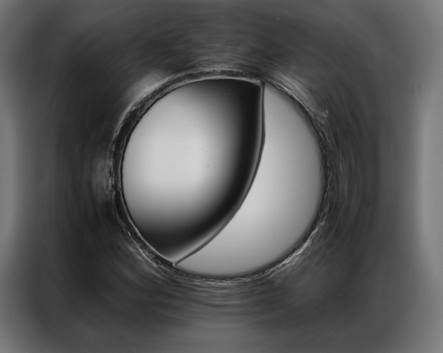 X0000087021164200704161556