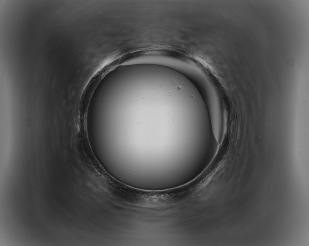 X0000087021165200704161556