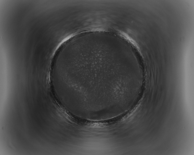 X0000087021166200704161556