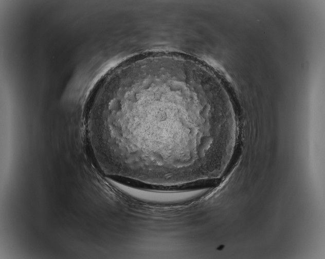 X0000087021167200704161556