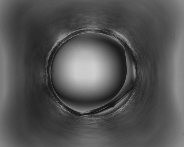 X0000087021168200704161556