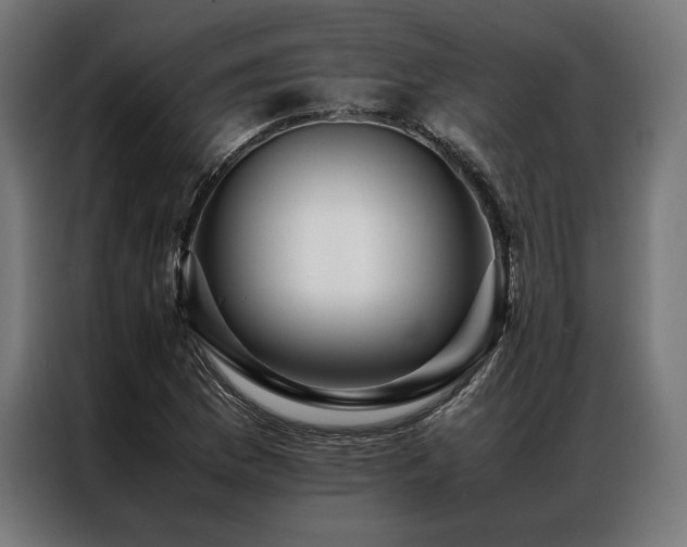 X0000087021169200704161556