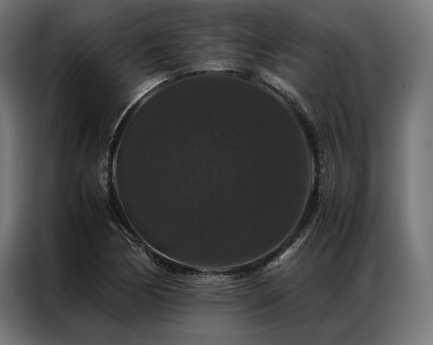 X0000087021170200704161556