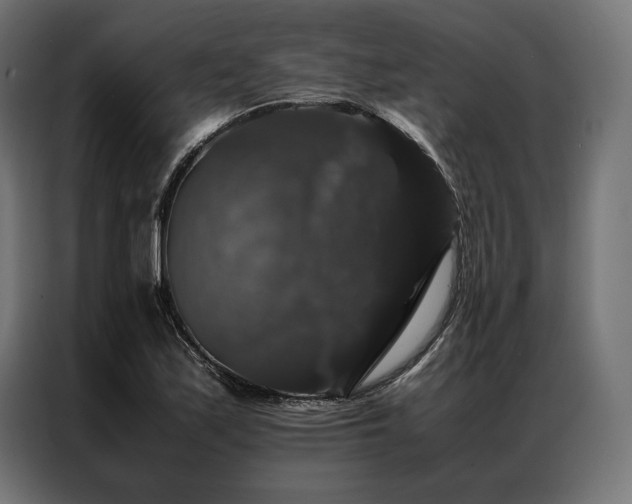 X0000087021171200704161556