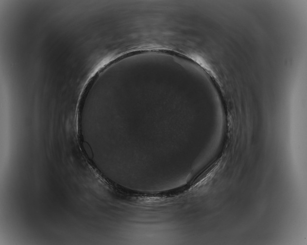 X0000087021173200704161556