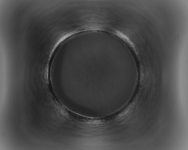 X0000087021174200704161556
