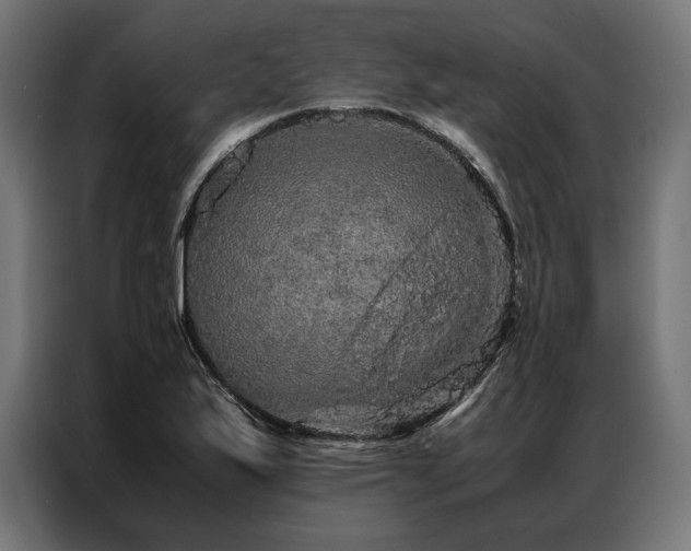 X0000087021175200704161556