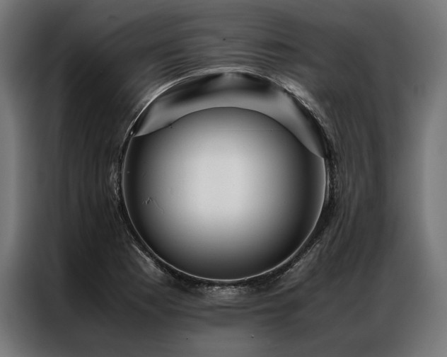 X0000087021177200704161556