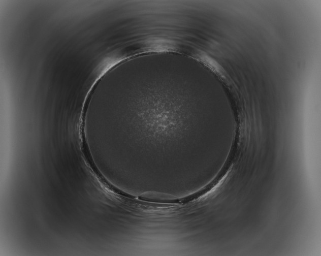 X0000087021178200704161556
