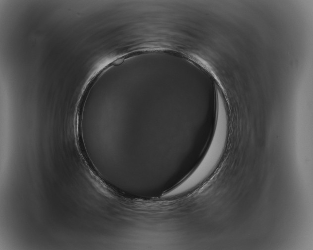 X0000087021179200704161556