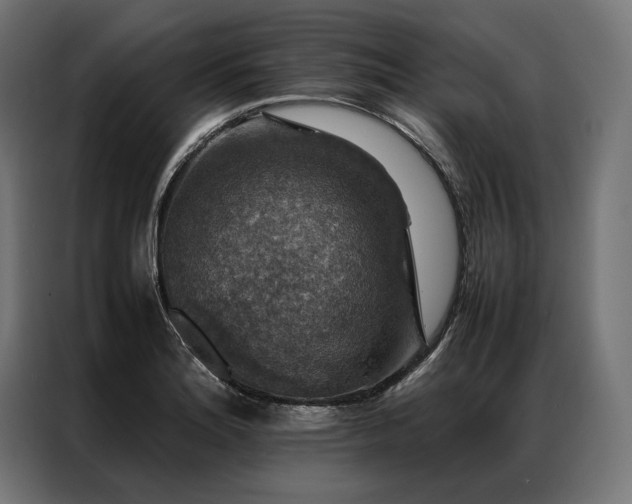 X0000087021180200704161556