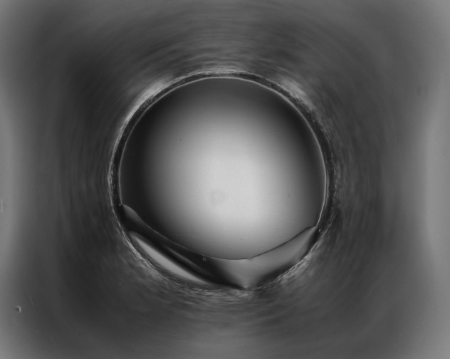 X0000087021181200704161556