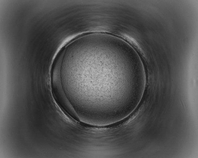 X0000087021184200704161556