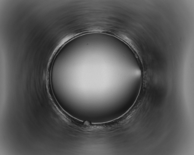 X0000087021187200704161556