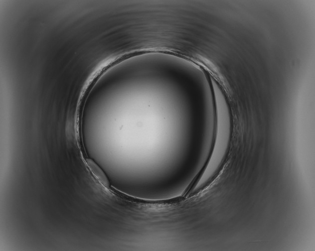 X0000087021188200704161556