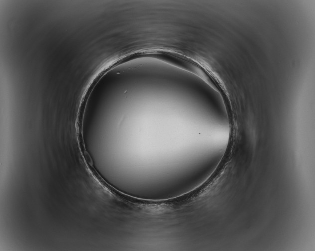 X0000087021189200704161556
