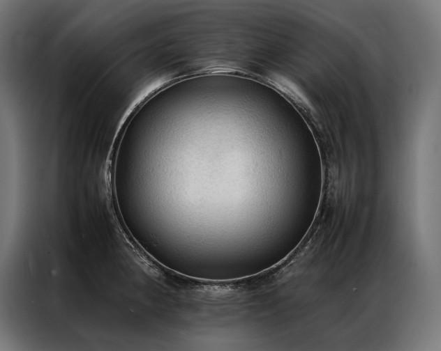 X0000087021190200704161555
